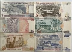 8.Emisyon Kağıt Para Seti Çil ( 1-5-10-20-50-100 lira )