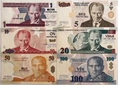 8.Emisyon Kağıt Para Seti Çil ( 1-5-10-25-50-100 lira )