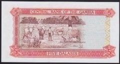 Gambia 5 Dalasis 2001 Çil Pick 20b