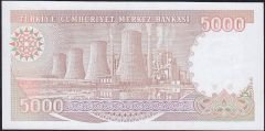 7.Emisyon 4.Tertip 5000 Lira I67 039420 Çilaltı Çil