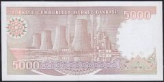 7.Emisyon 4.Tertip 5000 Lira I65 437295 Çil