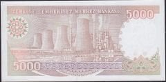 7.Emisyon 4.Tertip 5000 Lira I40 116589 Çilaltı Çil