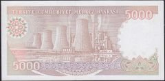7.Emisyon 4.Tertip 5000 Lira I39 055372 Çilaltı Çil