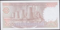 7.Emisyon 4.Tertip 5000 Lira I37 607887 Çilaltı Çil