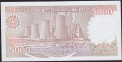 7.Emisyon 4.Tertip 5000 Lira I31 921706 Çilaltı Çil
