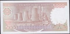 7.Emisyon 4.Tertip 5000 Lira I16 143457 Çilaltı