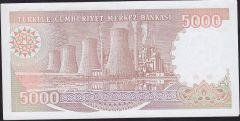 7.Emisyon 4.Tertip 5000 Lira H60 456495 Çilaltı Çil