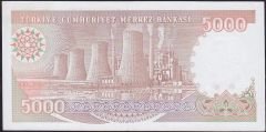 7.Emisyon 4.Tertip 5000 Lira H39 683443 Çilaltı Çil
