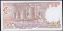 7.Emisyon 4.Tertip 5000 Lira H34 142463 Çil