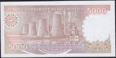 7.Emisyon 4.Tertip 5000 Lira G89 672994 Çilaltı Çil
