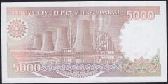 7.Emisyon 4.Tertip 5000 Lira G58 029833 Çilaltı Çil
