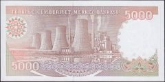 7.Emisyon 4.Tertip 5000 Lira G44 717041 Çil