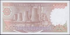 7.Emisyon 4.Tertip 5000 Lira G40 574853 Çil