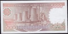 7.Emisyon 4.Tertip 5000 Lira G04 800602 Çilaltı Çil
