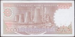 7.Emisyon 4.Tertip 5000 Lira H35 840005 Çilaltı Çil