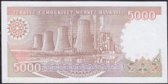 7.Emisyon 4.Tertip 5000 Lira H34 142464 Çil