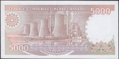 7.Emisyon 4.Tertip 5000 Lira G80 637197 Çilaltı Çil