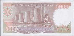 7.Emisyon 4.Tertip 5000 Lira G42 616922 Çil