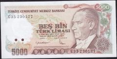 7.Emisyon 2.Tertip 5000 Lira C35 230127 Çilaltı Çil