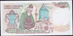 7.Emisyon 2.Tertip 5000 Lira C35 230127 Çilaltı Çil