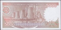7.Emisyon 4.Tertip 5000 Lira G23 518705 Çilaltı Çil