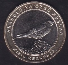 2019 Yılı 1 Kuruş Anadoluya Özgü Kuşlar KIZIL KERKENEZ Çil Bimetal Çerçeve Sarı