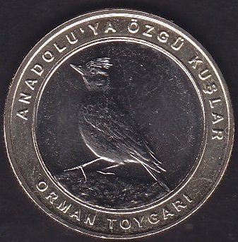 2019 Yılı 1 Kuruş Anadoluya Özgü Kuşlar ORMAN TOYGARI Çil Bimetal Çerçeve Sarı
