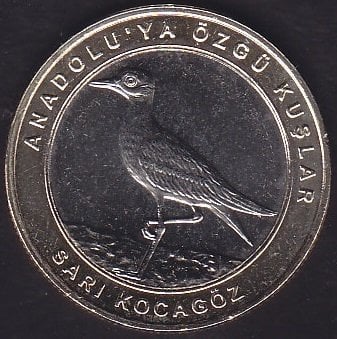 2019 Yılı 1 Kuruş Anadoluya Özgü Kuşlar SARI KOCAGÖZ Çil Bimetal Çerçeve Sarı