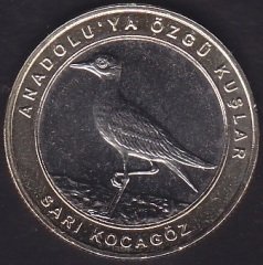 2019 Yılı 1 Kuruş Anadoluya Özgü Kuşlar SARI KOCAGÖZ Çil Bimetal Çerçeve Sarı