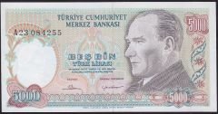 7.Emisyon 1.Tertip 5000 Lira A23 084255 Çilaltı Çil