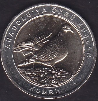 2019 Yılı 1 Kuruş Anadoluya Özgü Kuşlar KUMRU Çil Bimetal Göbek Sarı