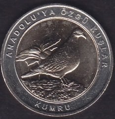2019 Yılı 1 Kuruş Anadoluya Özgü Kuşlar KUMRU Çil Bimetal Göbek Sarı
