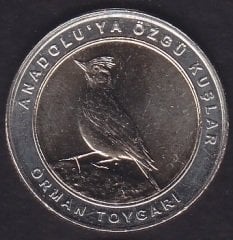 2019 Yılı 1 Kuruş Anadoluya Özgü Kuşlar ORMAN TOYGARI Çil Bimetal Göbek Sarı