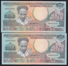 SURİNAME 250 GULDEN 1988 1 ADET ÇİLALTI 1 ADET ÇİL SERİ TAKİPLİ 2 ADET 299 - 300