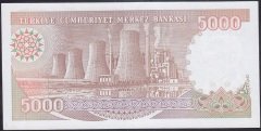 7.EMİSYON 4.TERTİP 5000 LİRA H34 142456 ÇİL