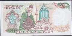 7.Emisyon 3.Tertip 5000 Lira E74 289615 Çil