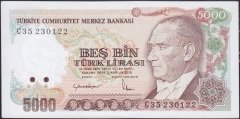 7.Emisyon 2.Tertip 5000 Lira C35 230122 Çilaltı Çil
