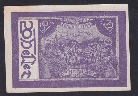 AVUSTURYA 20 HELLER NOTGELD 1920 ÇİL