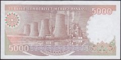 7.EMİSYON 4.TERTİP 5000 LİRA G45 738014 ÇÇT +