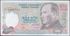 7.Emisyon 1.Tertip 5000 Lira A54 819293 Çilaltı Çil