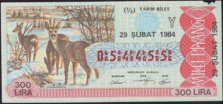 1984 29 Şubat Yarım Bilet - Y Serisi