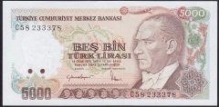 7.EMİSYON 2.TERTİP 5000 LİRA C58 233378 ÇİLALTI ÇİL