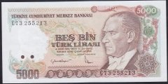 7.EMİSYON 2.TERTİP 5000 LİRA C73 255213 ÇÇT ÇİLALTI