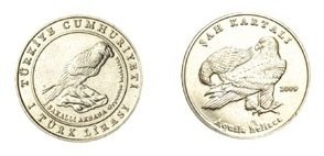 2009 YILI 1 LİRA ŞAH KARTALI ÇİLALTI ÇİL