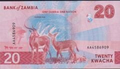 Zambia 20 Kwacha 2024 Çil