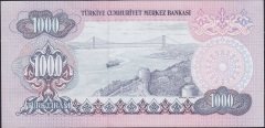6.Emisyon 2.Tertip 1000 Lira D48 984683 Çilaltı Çil (Hafif bombe var)