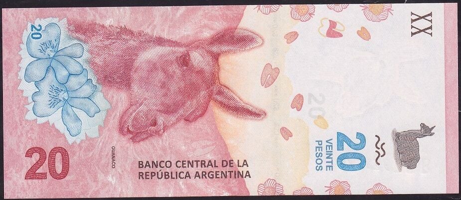 Arjantin 20 Pesos 2017 Çil Pick 361
