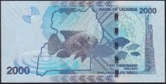 Uganda 2000 Şiling 2022 Çilaltı Çil Pick 50g