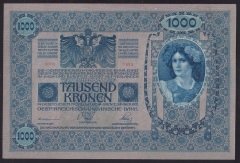 AVUSTURYA MACARİSTAN İMPARATORLUĞU 1000 KRON 1902 ÇİLALTI ÇİL - RADAR 00800
