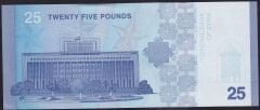 Suriye 25 Pound 2025 Çil